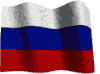 Представители в России